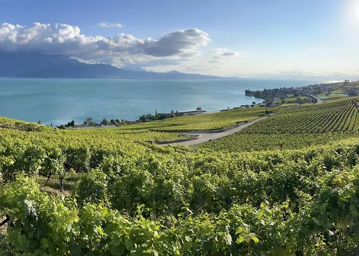 La Favela Pensjonat *